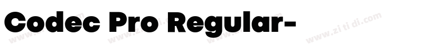 Codec Pro Regular字体转换